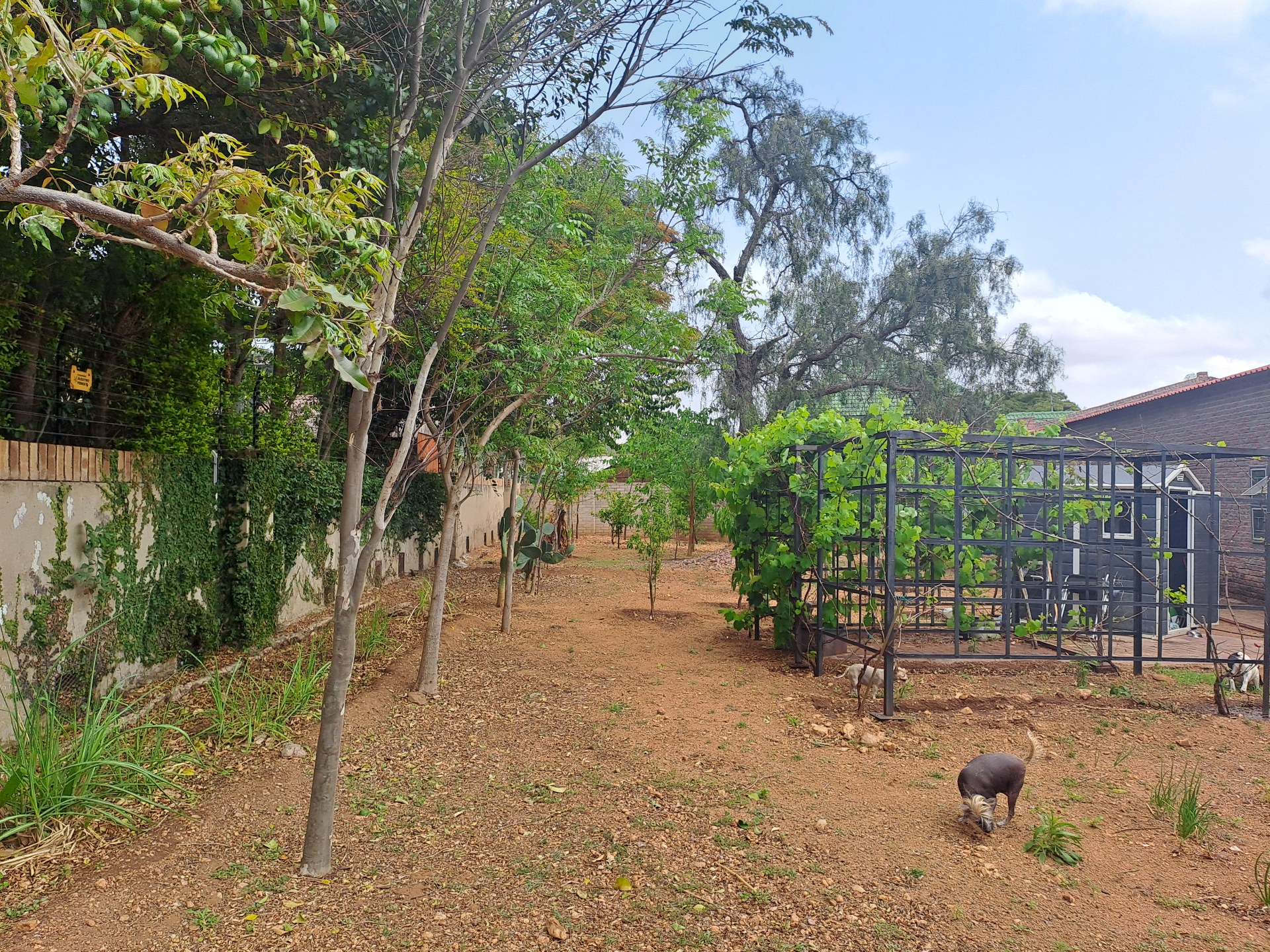 Property Pic