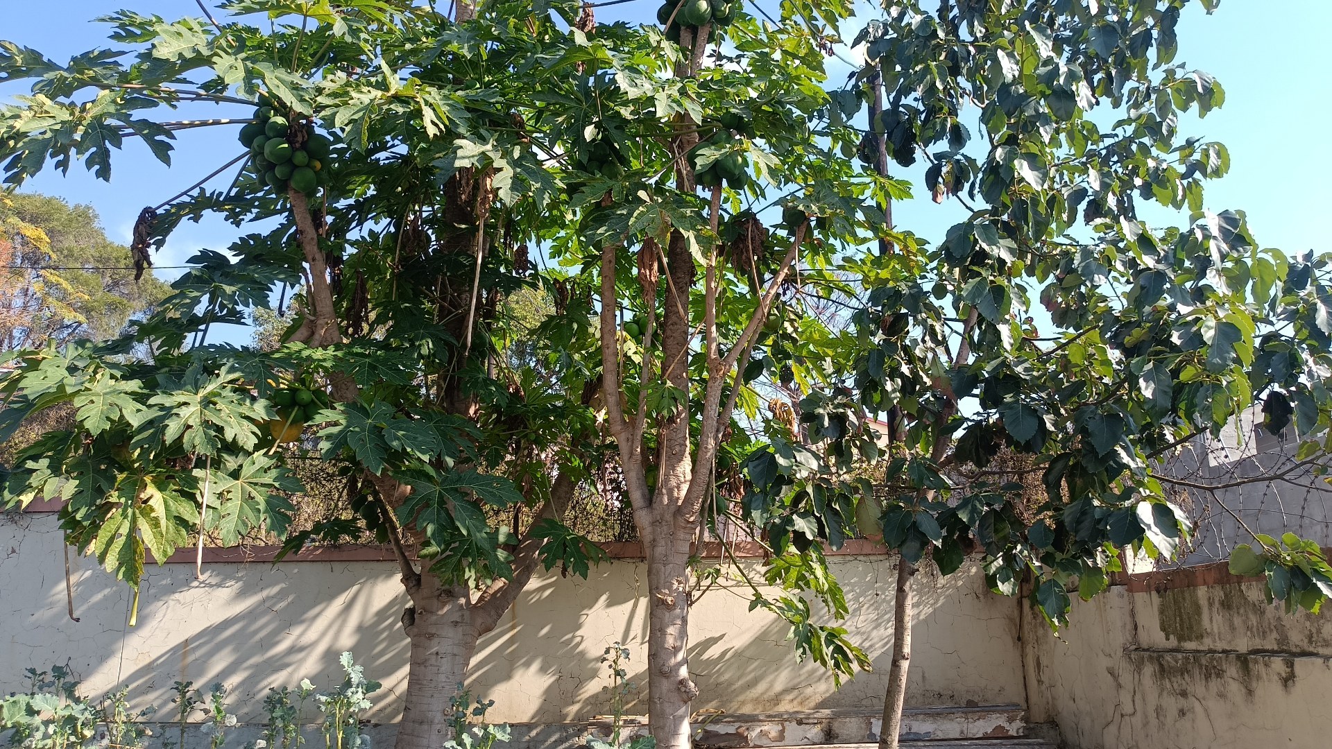 Property Pic