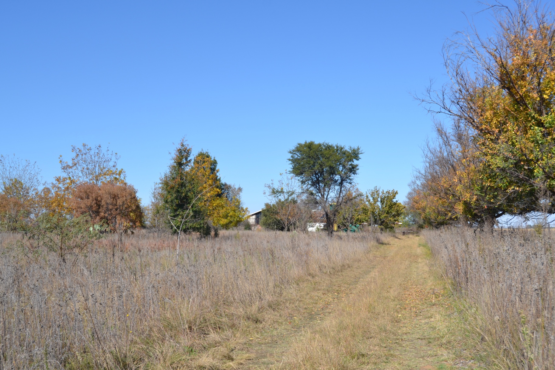 Property Pic