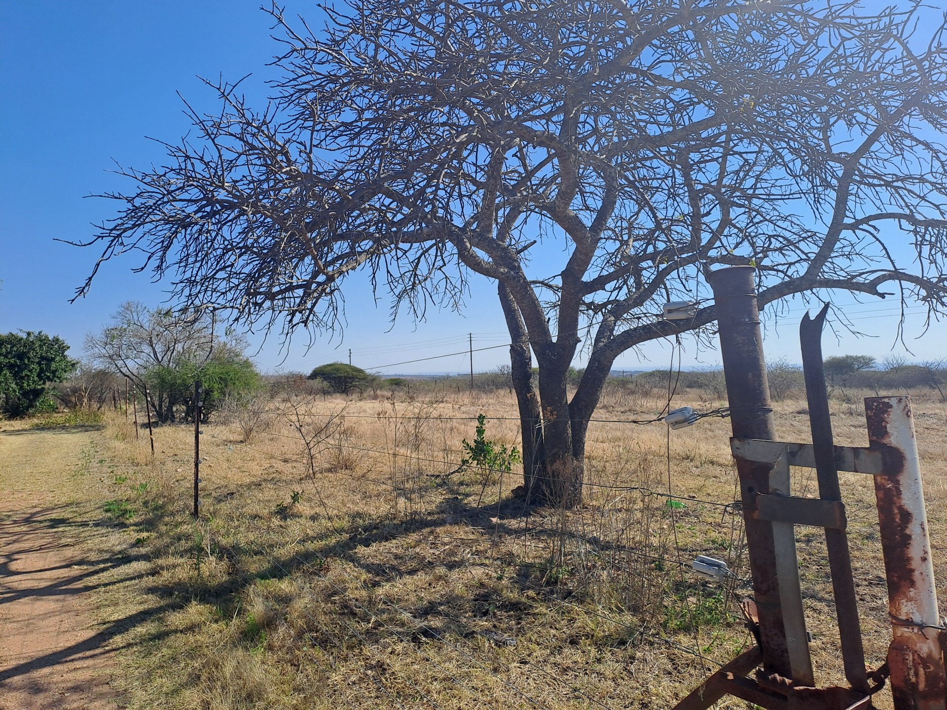 Property Pic