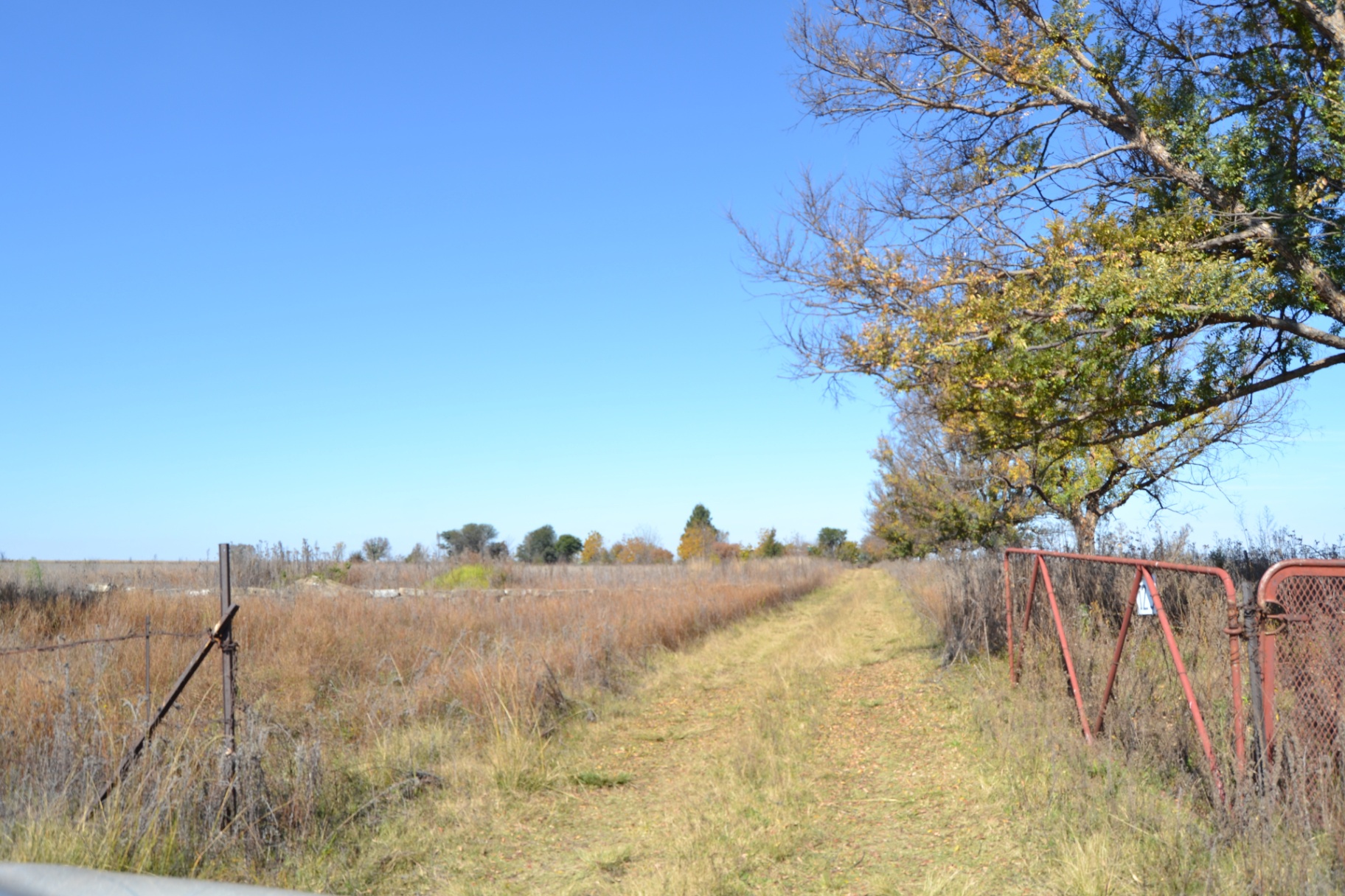 Property Pic