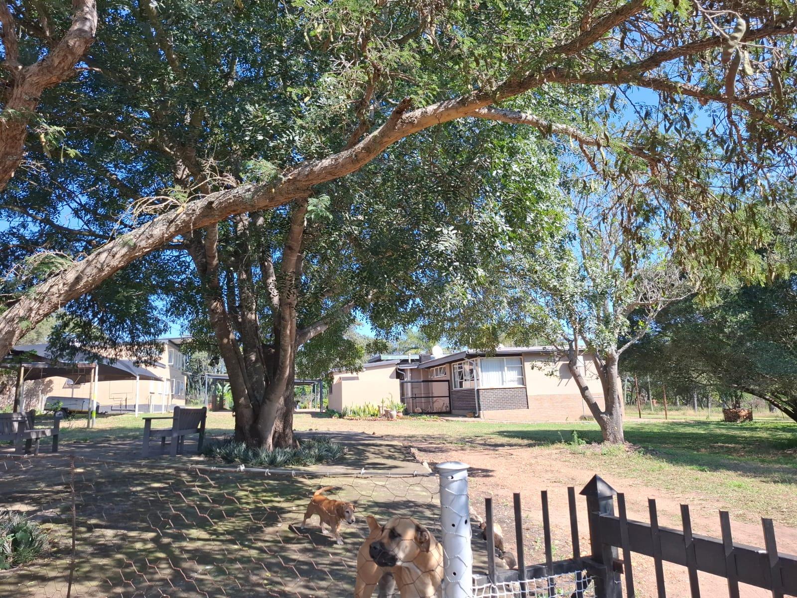 Property Pic