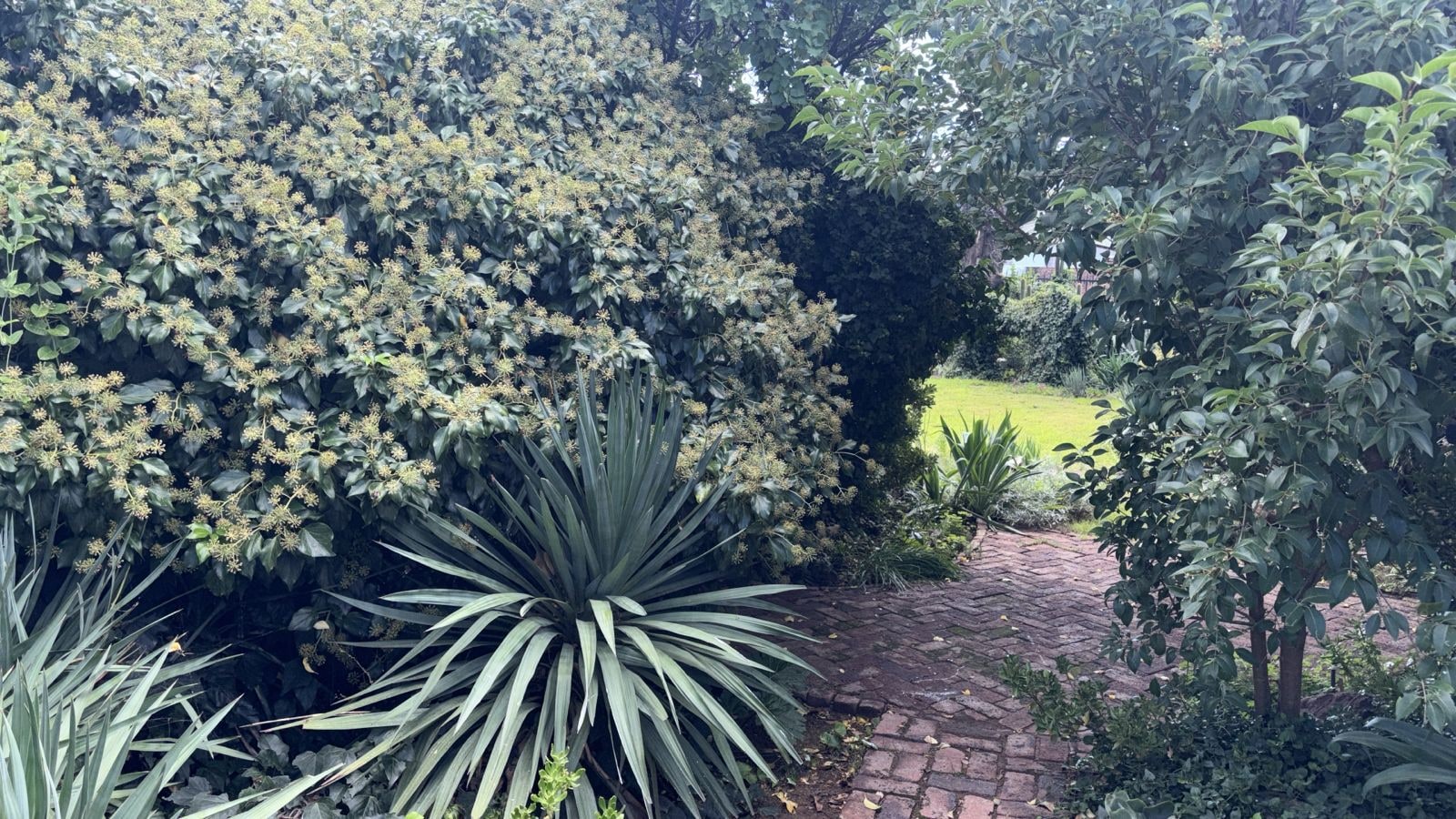 Property Pic