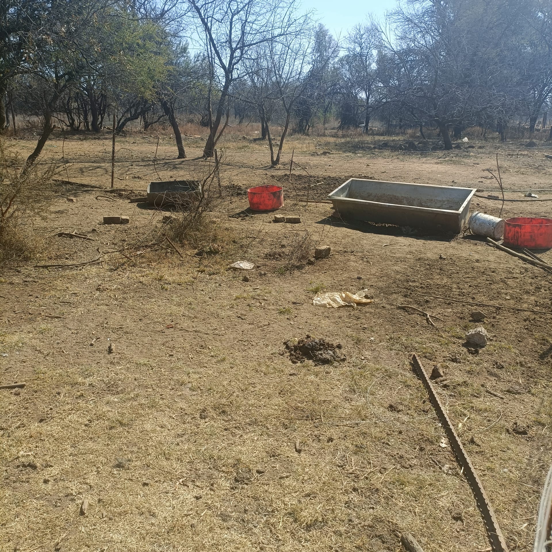 Property Pic