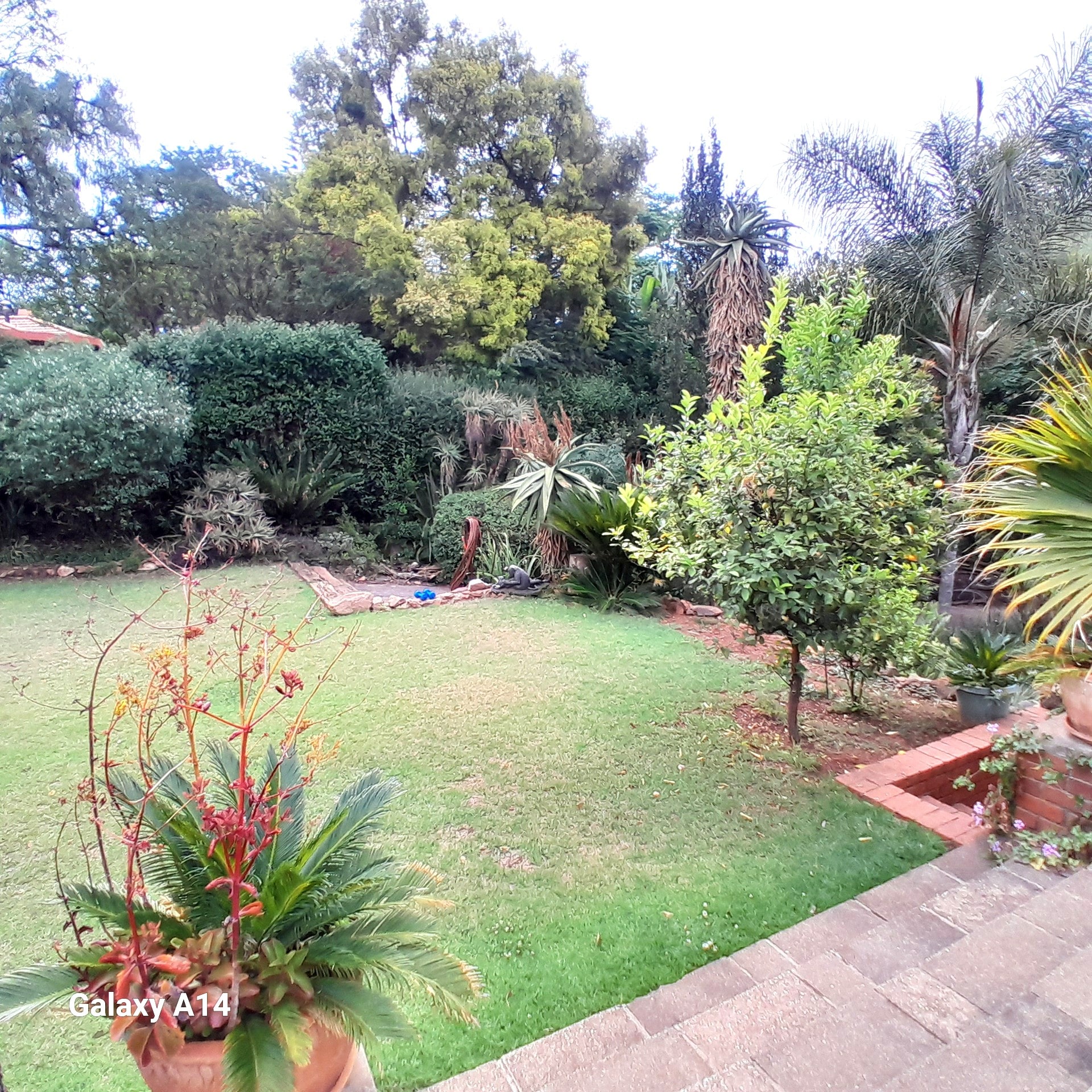 Property Pic