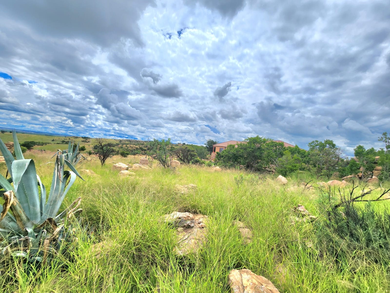 Property Pic