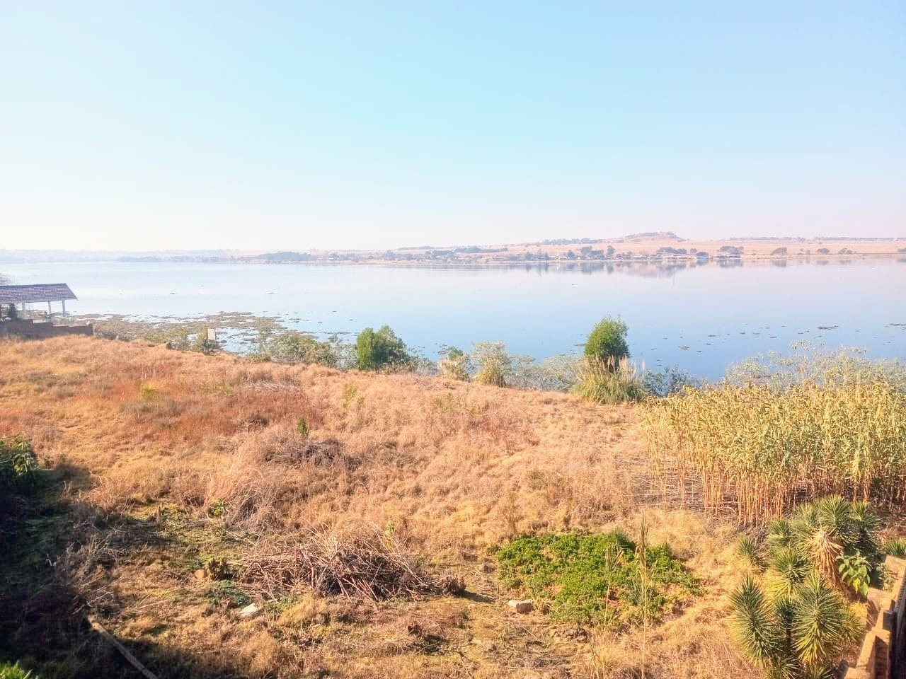 Property Pic