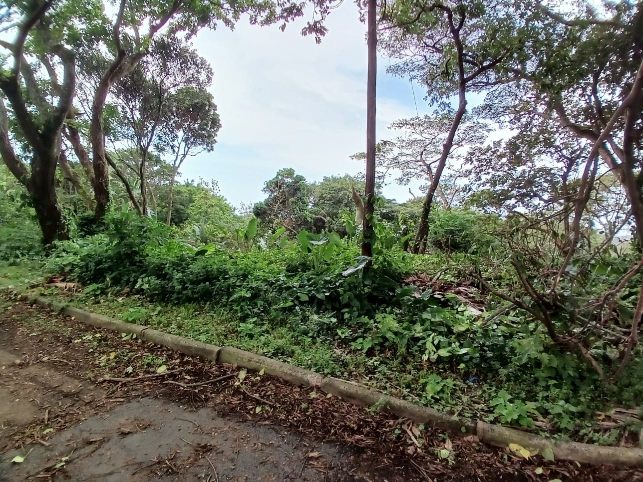 Property Pic