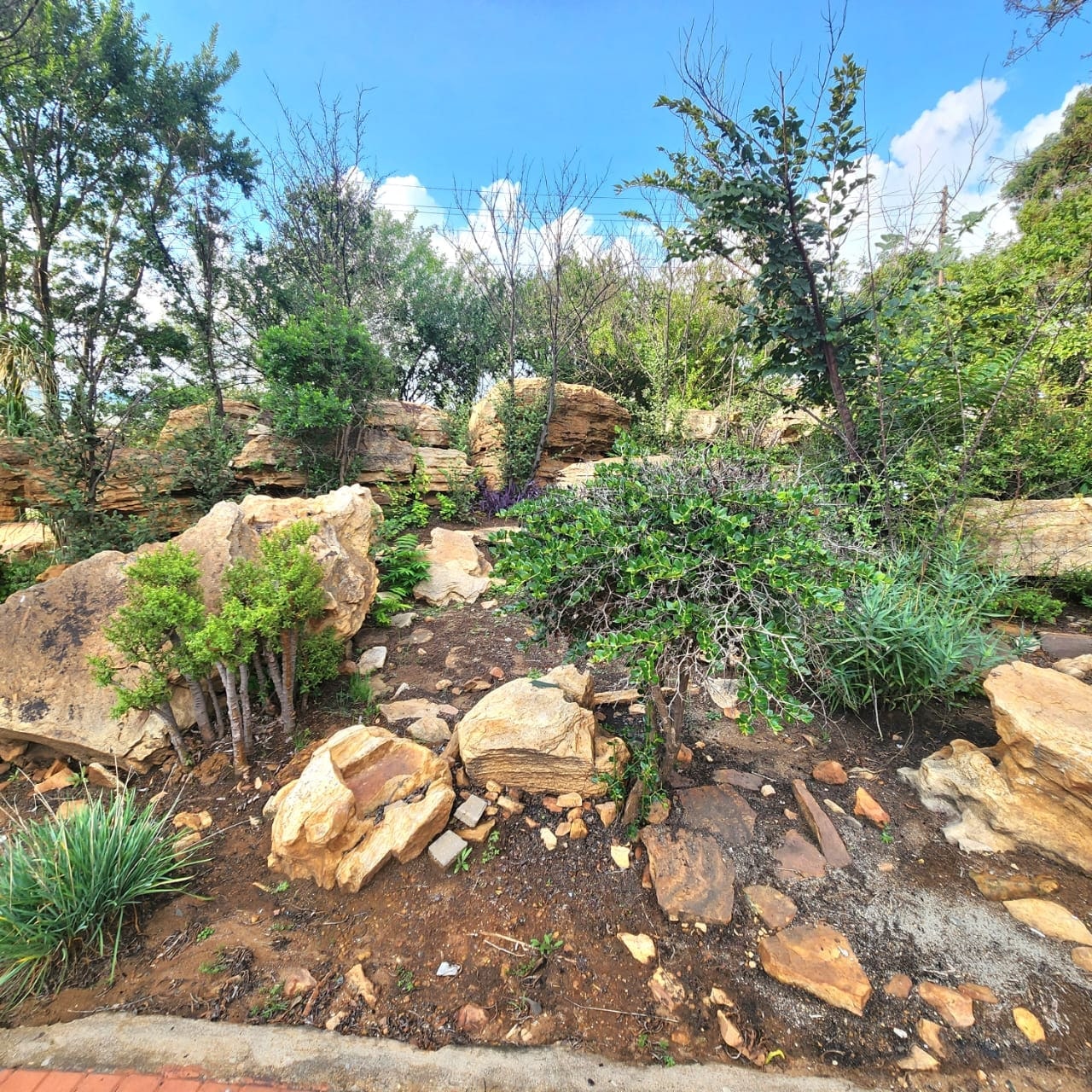 Property Pic