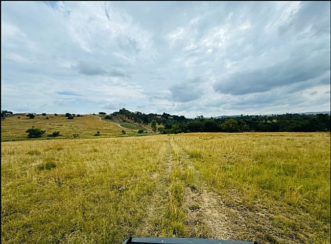 Property Pic