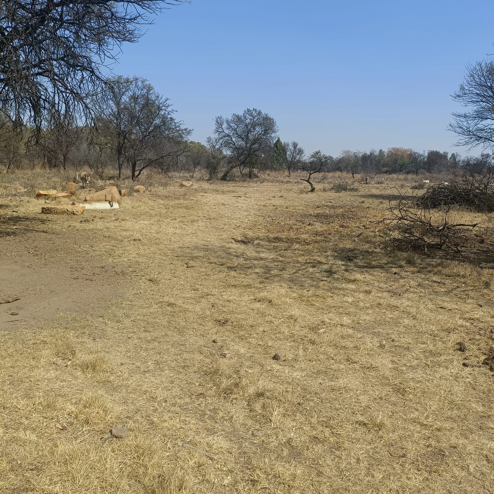 Property Pic