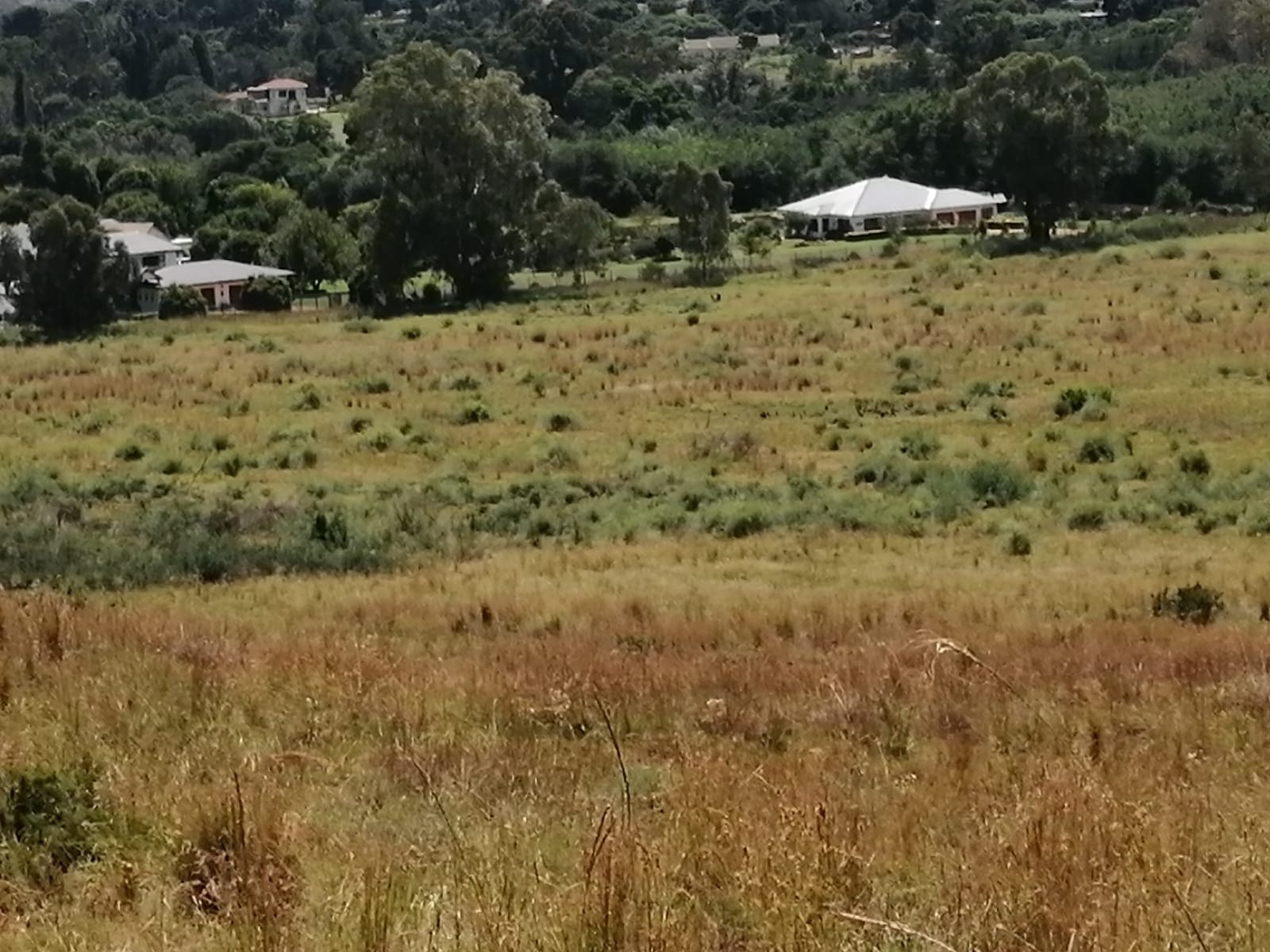 Property Pic