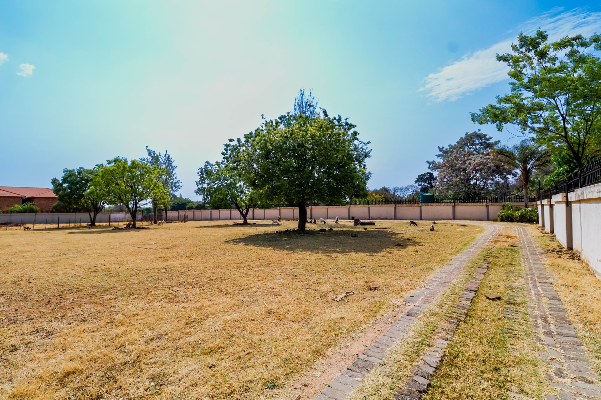 Property Pic