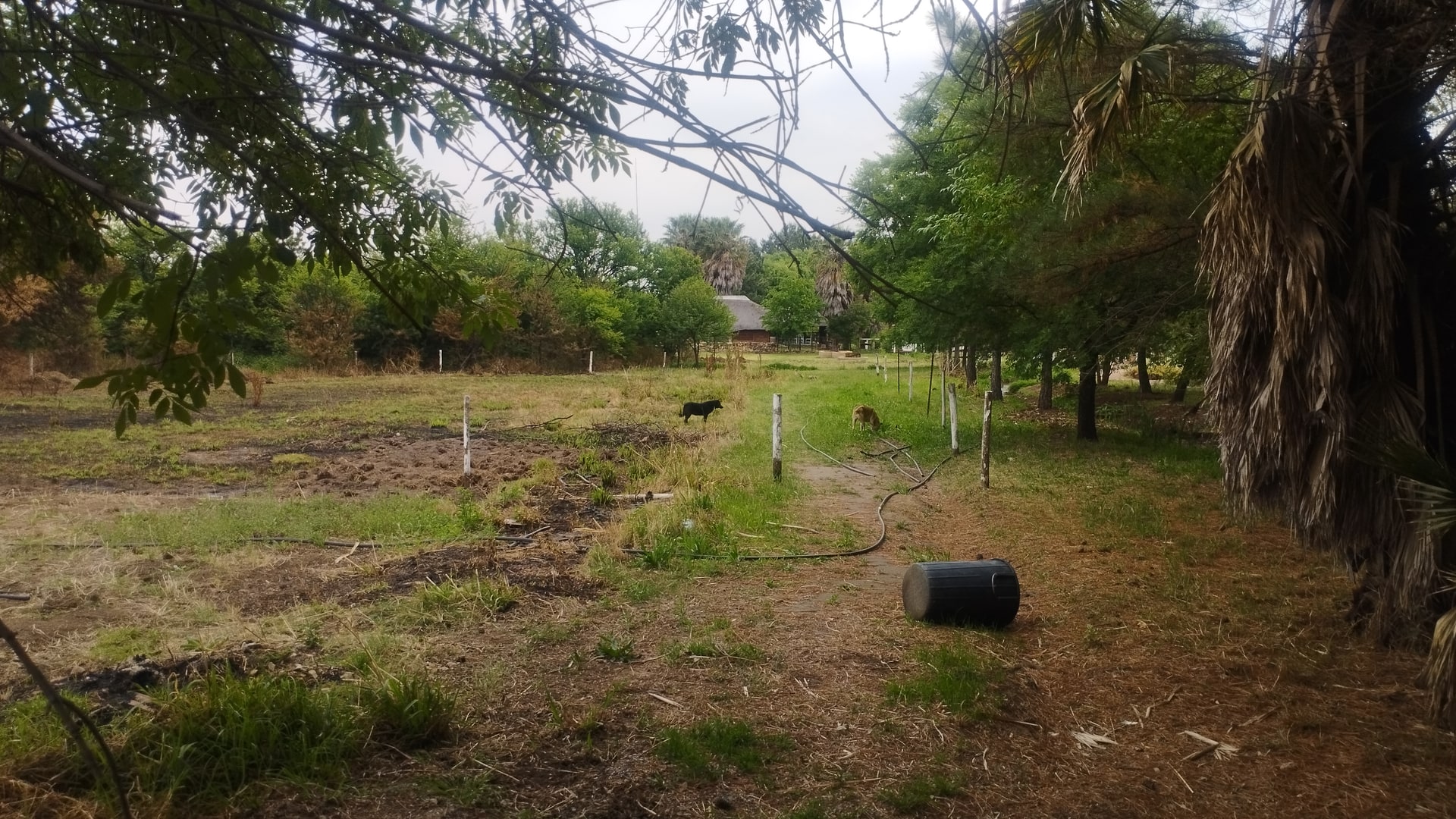 Property Pic