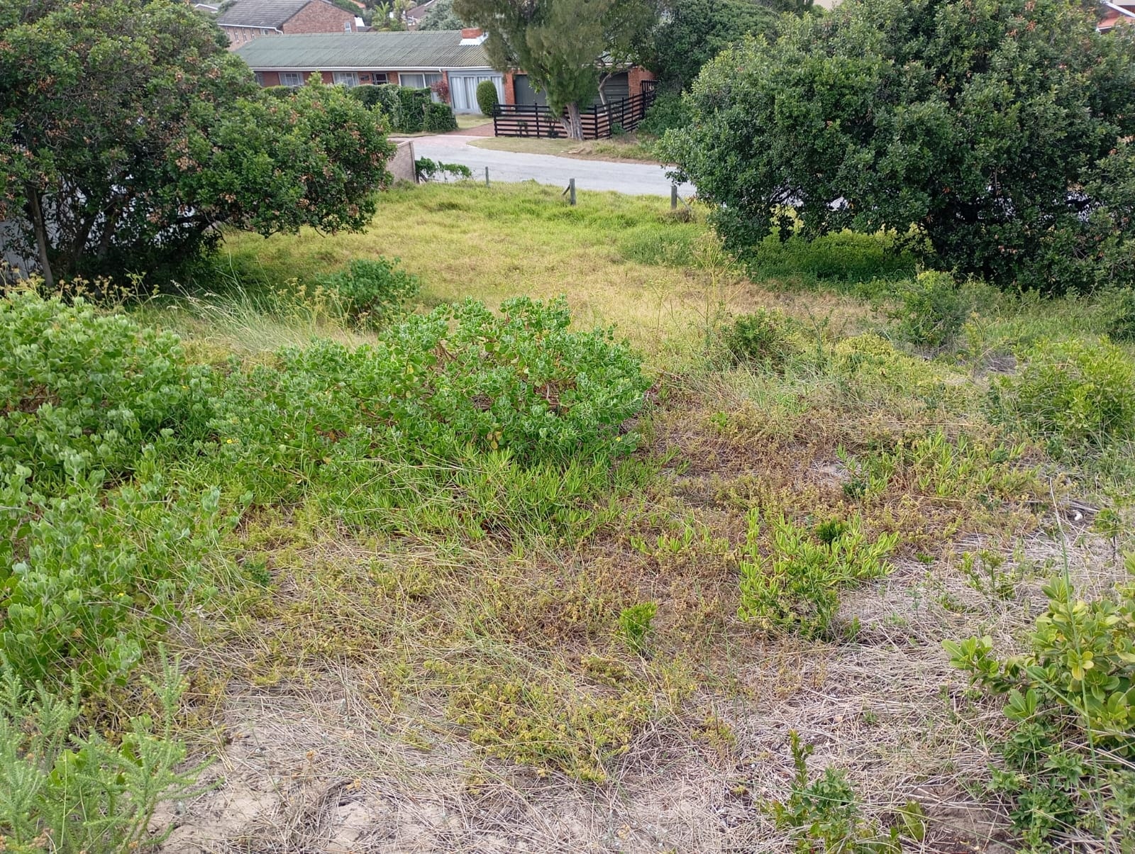 Property Pic