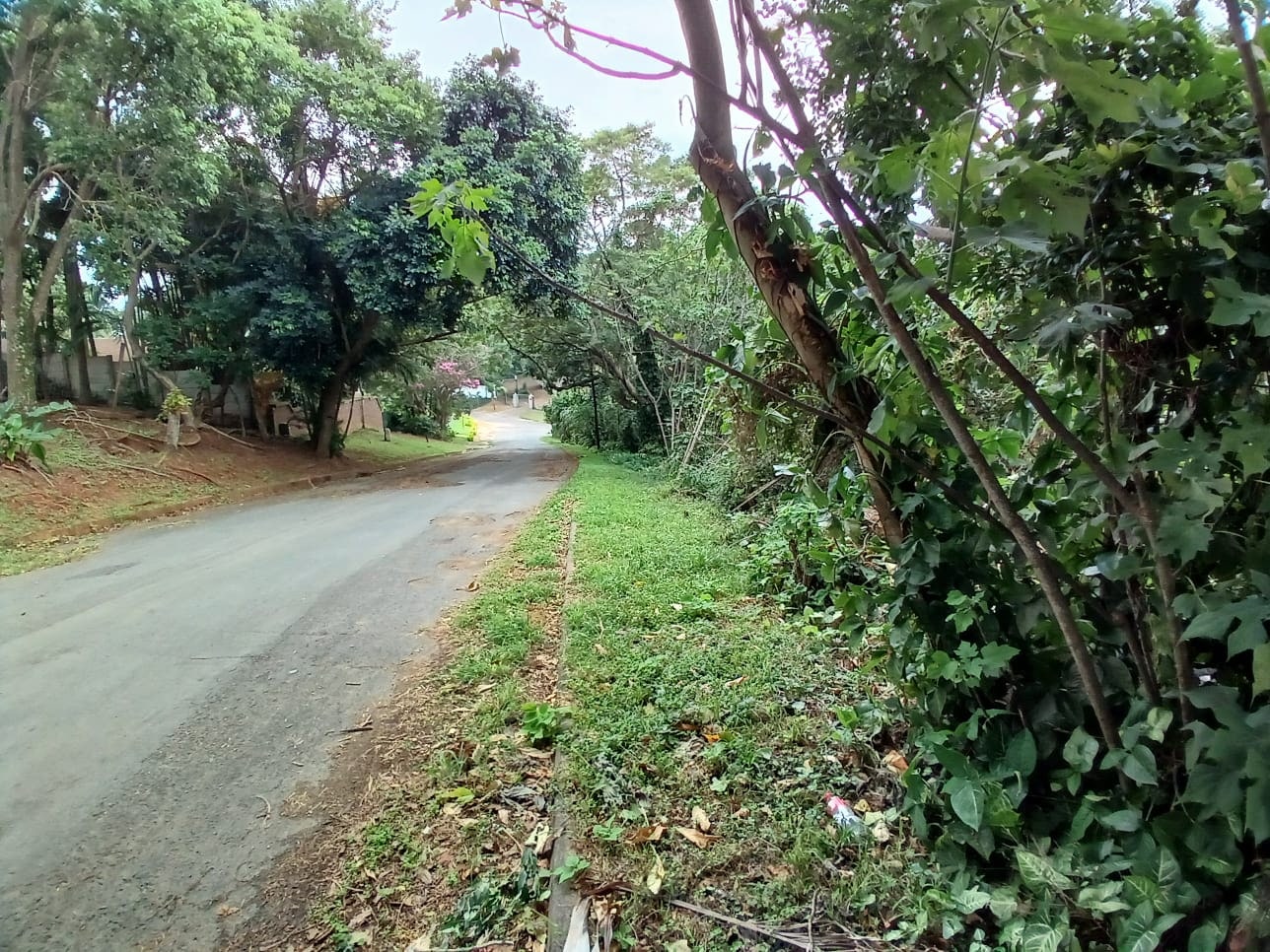 Property Pic