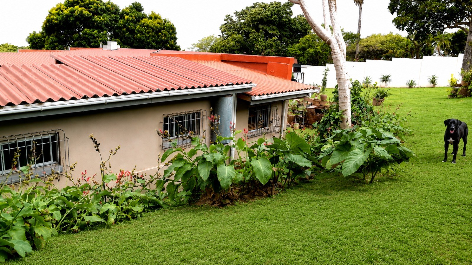 Property Pic