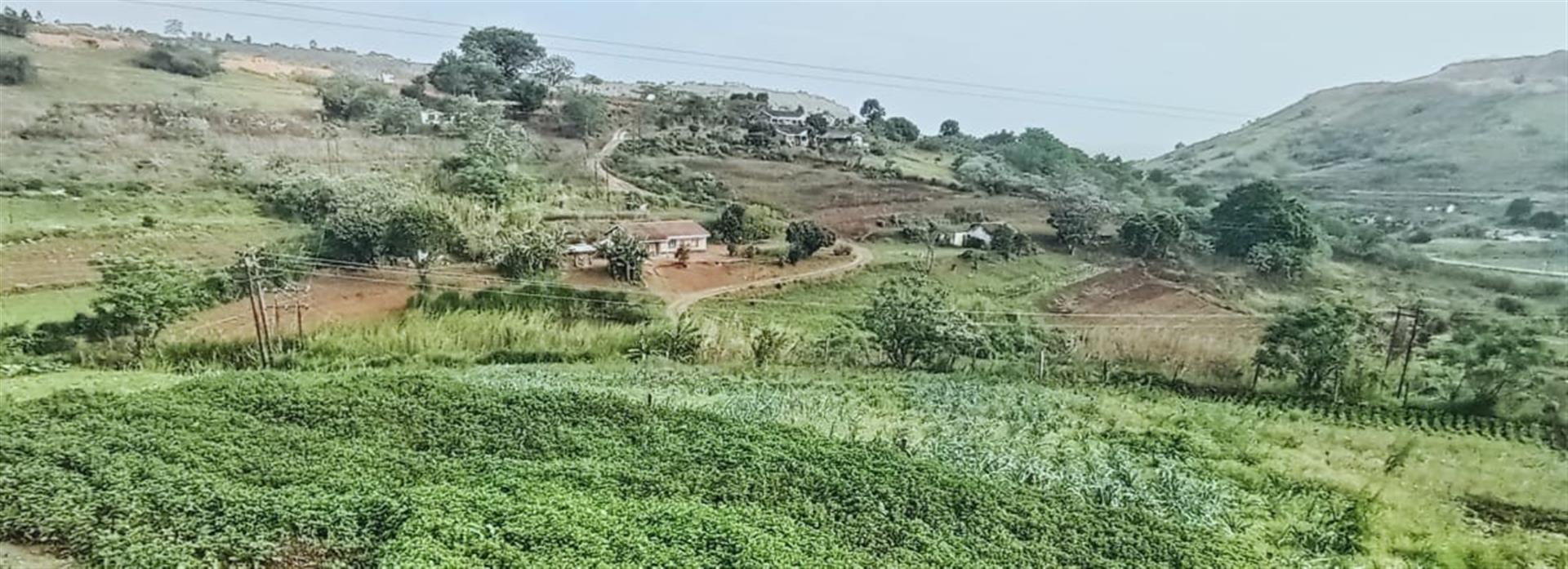 Property Pic