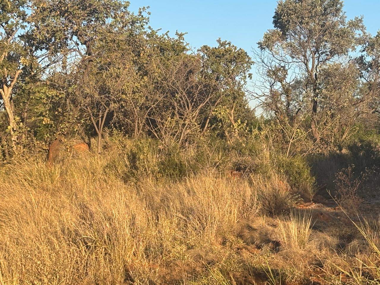 Property Pic
