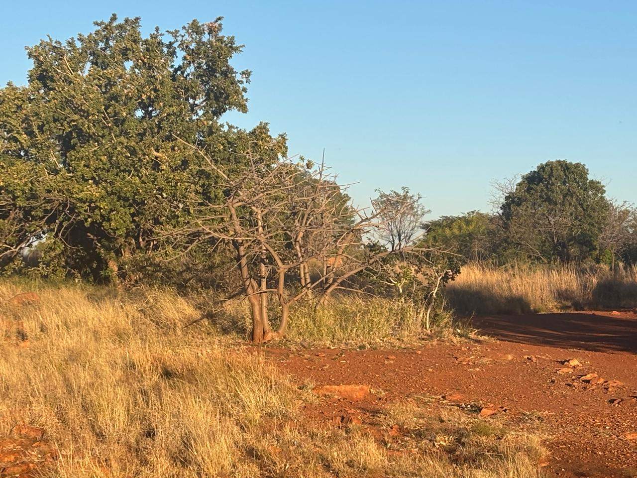 Property Pic