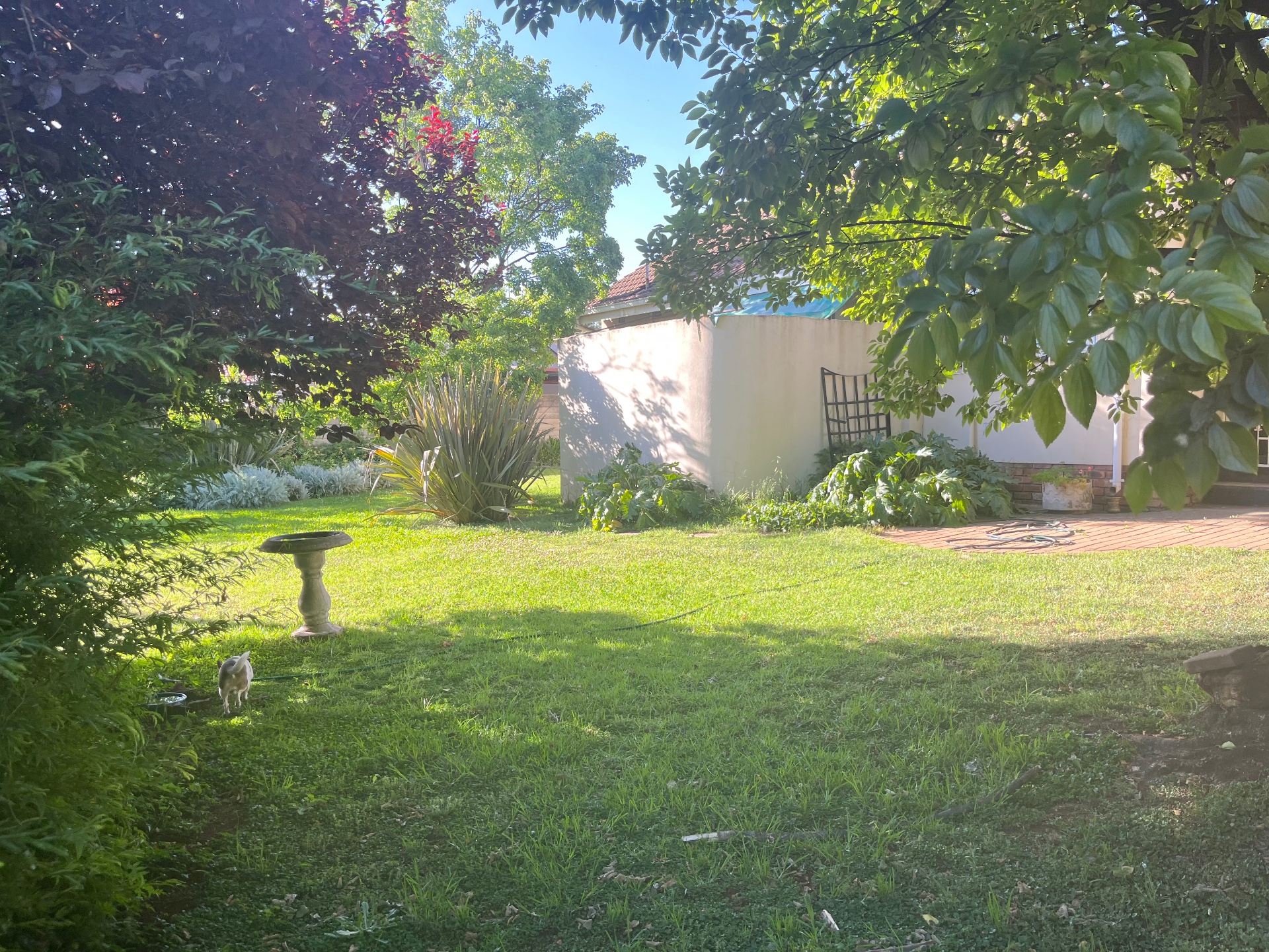 Property Pic