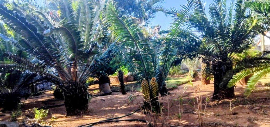 Property Pic