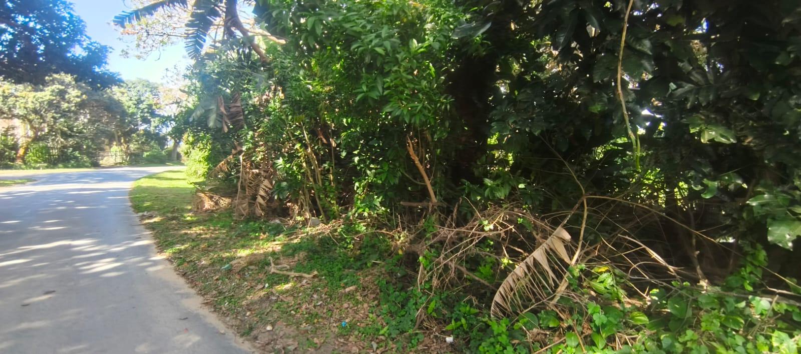 Property Pic