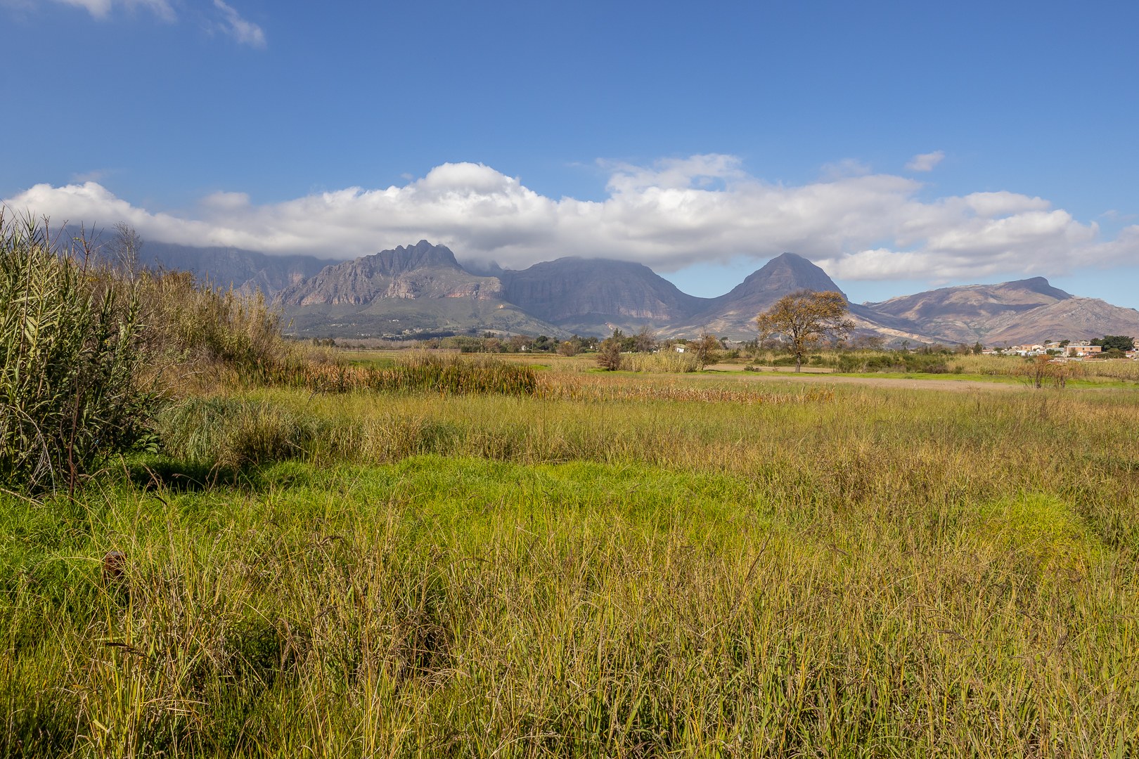 135261m² Opportunity to restore and reimagine a remarkable country estate in the heart of the Paarl