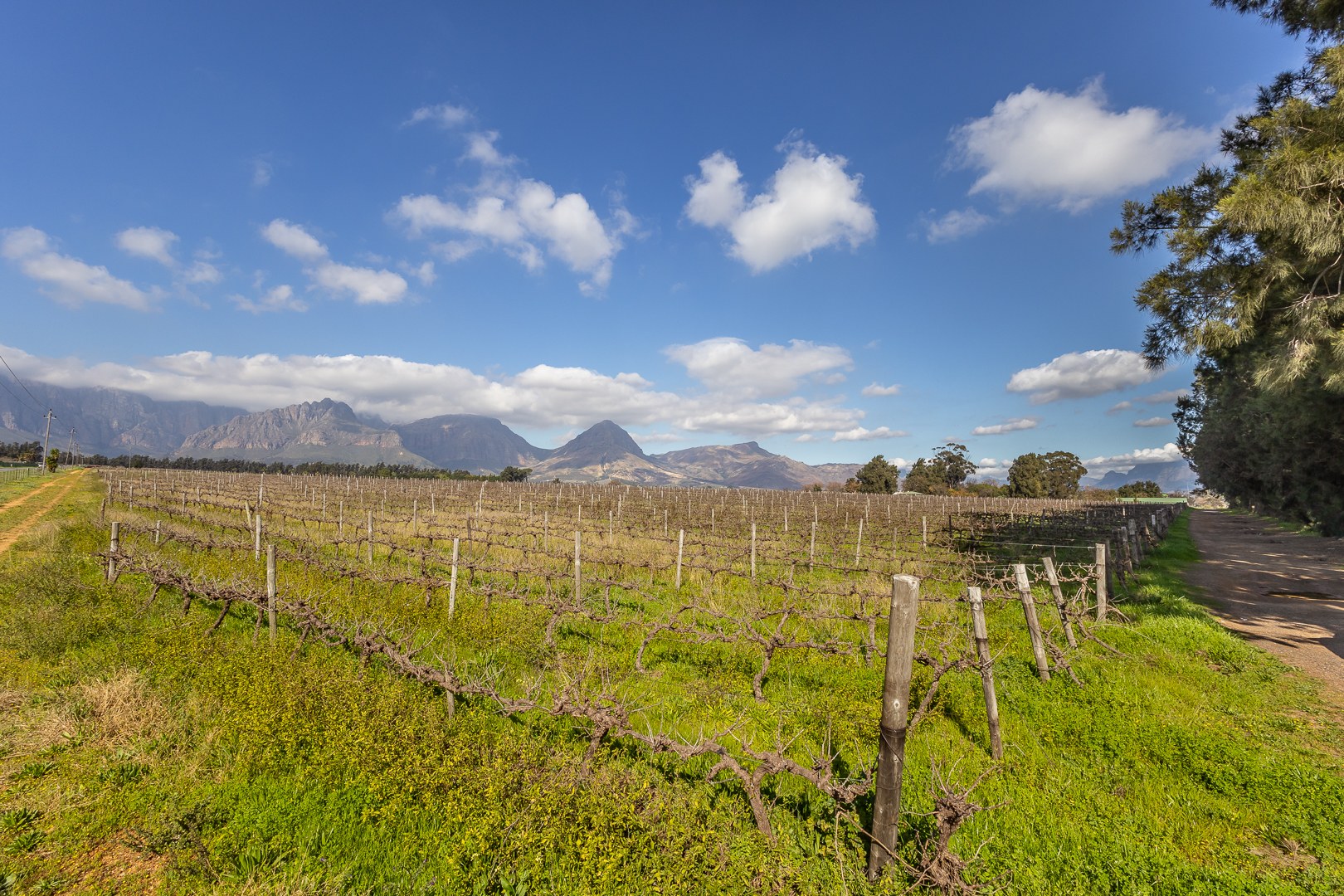 135261m² Opportunity to restore and reimagine a remarkable country estate in the heart of the Paarl