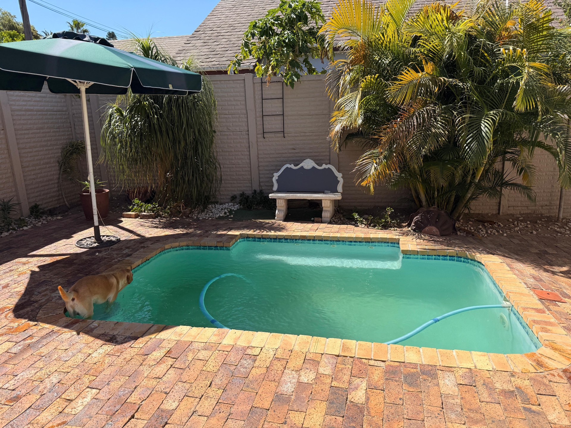 0m² Beautifully maintained and very spacious family home, perfectly located in one of Paarl's sought-after neighbourhoods.