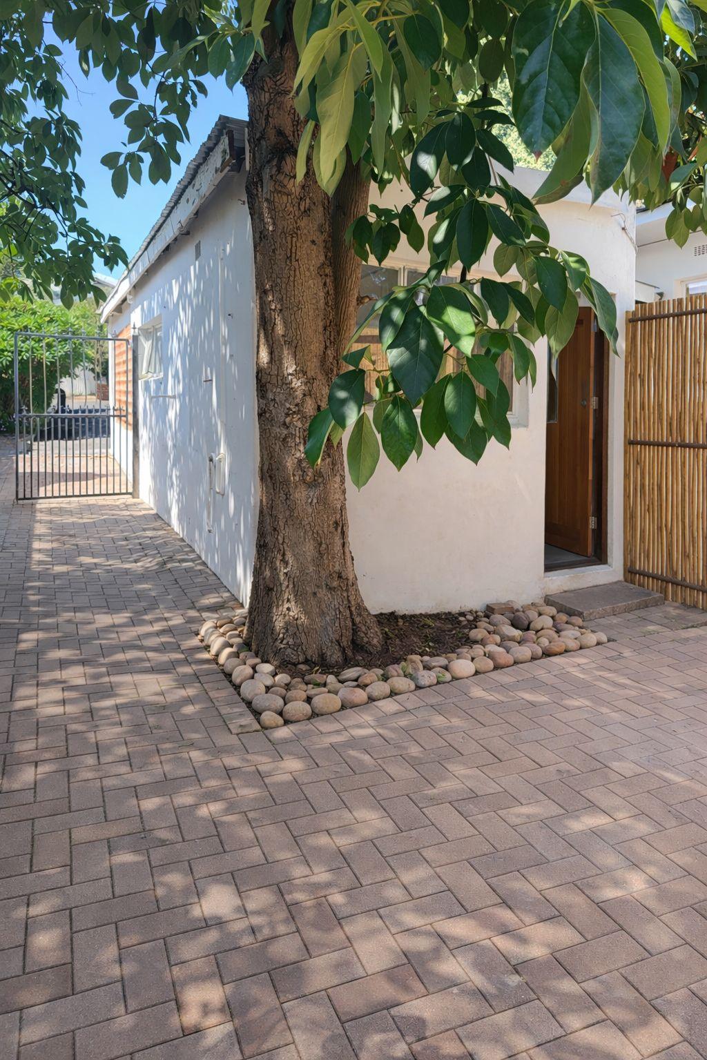 0m² Bachelor Garden Flat to Rent – Student or Young Professional