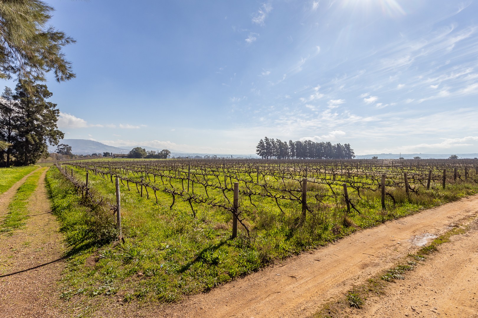 135261m² Opportunity to restore and reimagine a remarkable country estate in the heart of the Paarl