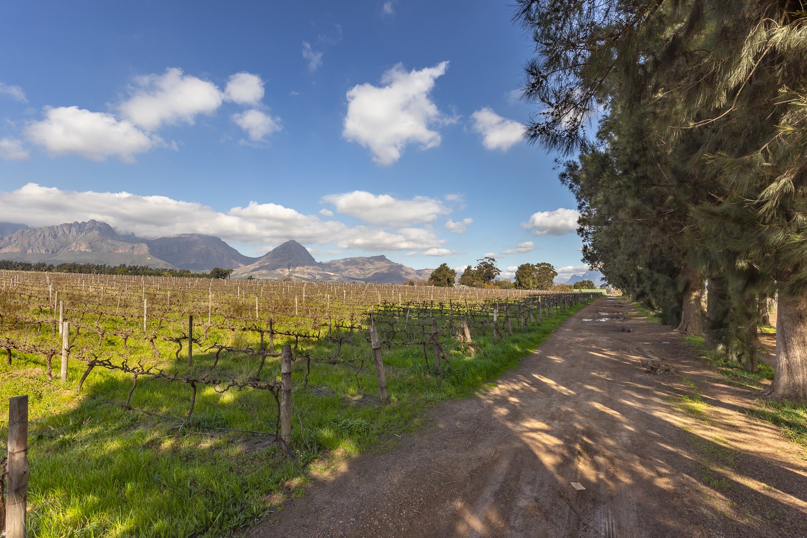 135261m² Opportunity to restore and reimagine a remarkable country estate in the heart of the Paarl