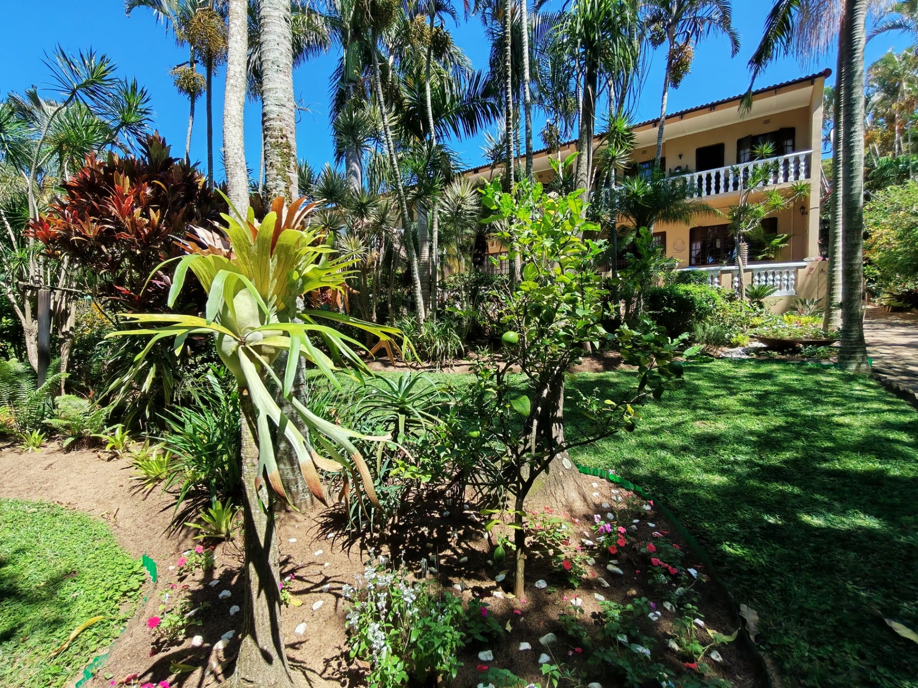 Property Pic