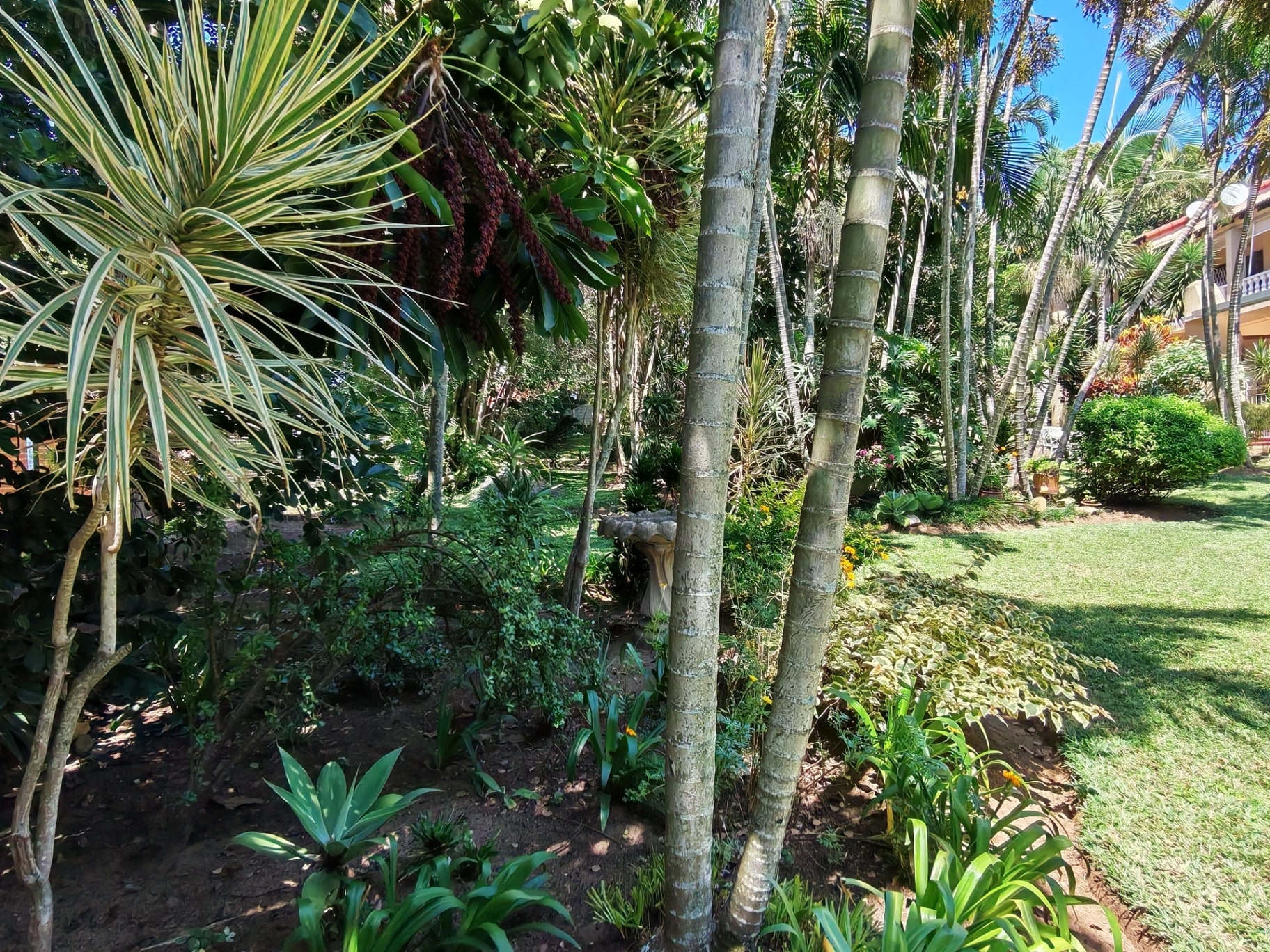 Property Pic