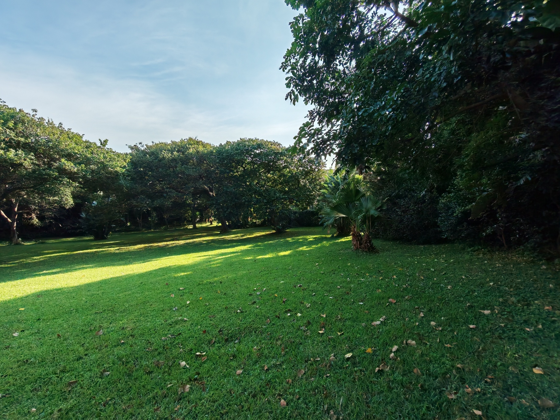 Property Pic