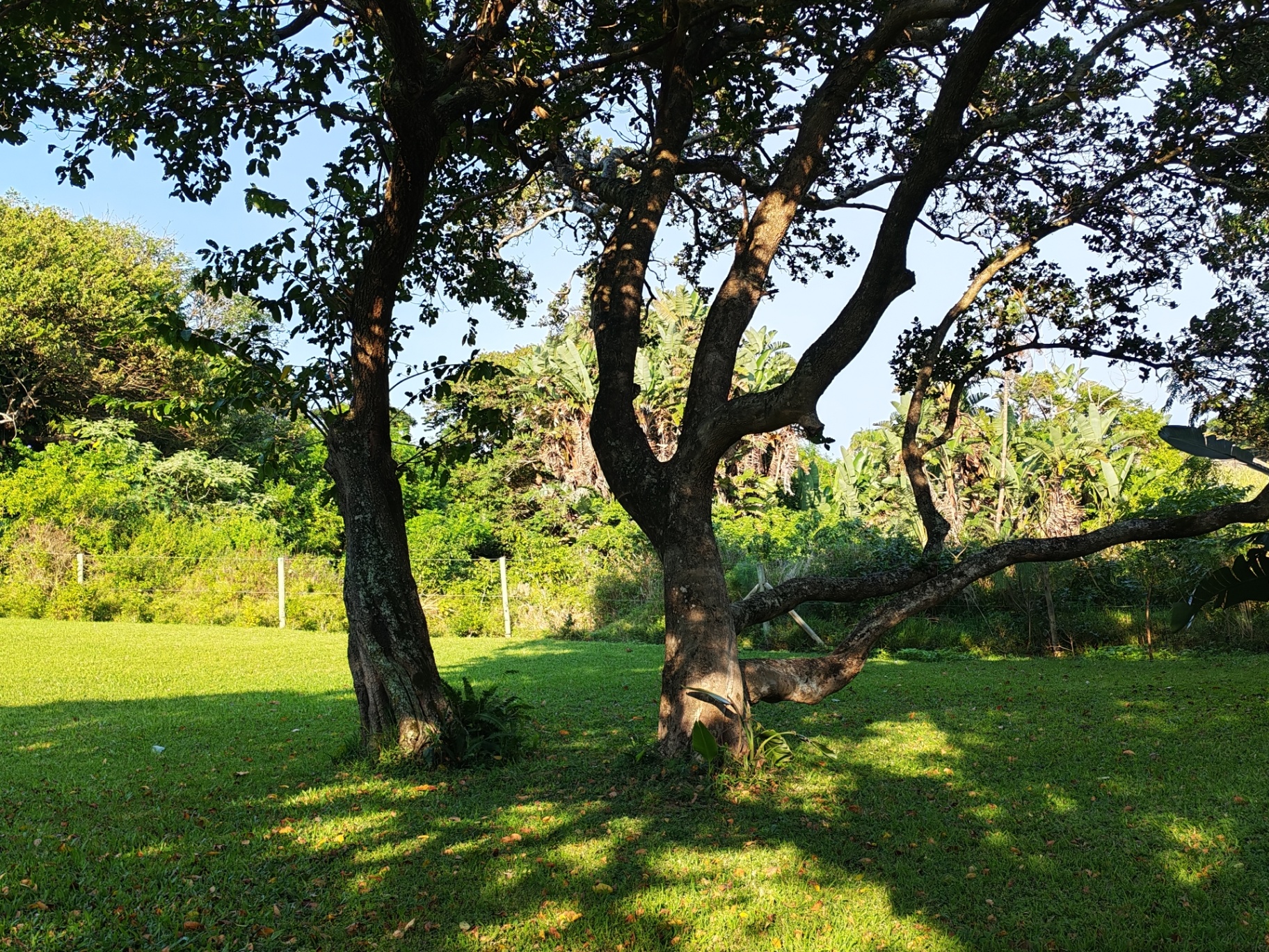 Property Pic