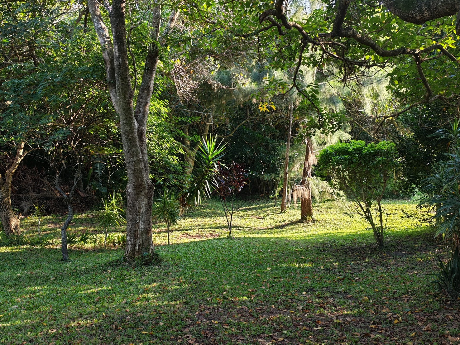 Property Pic