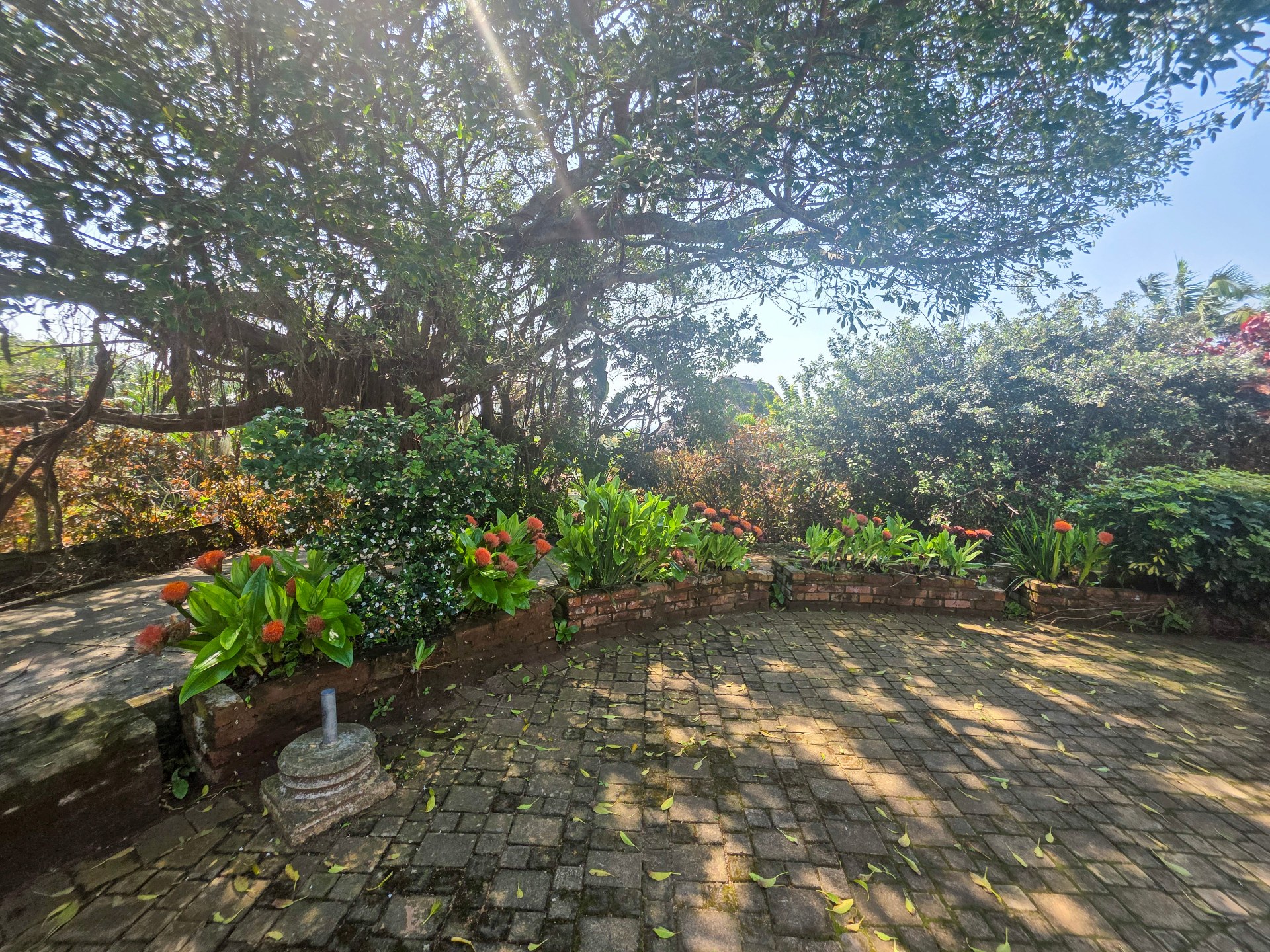 Property Pic