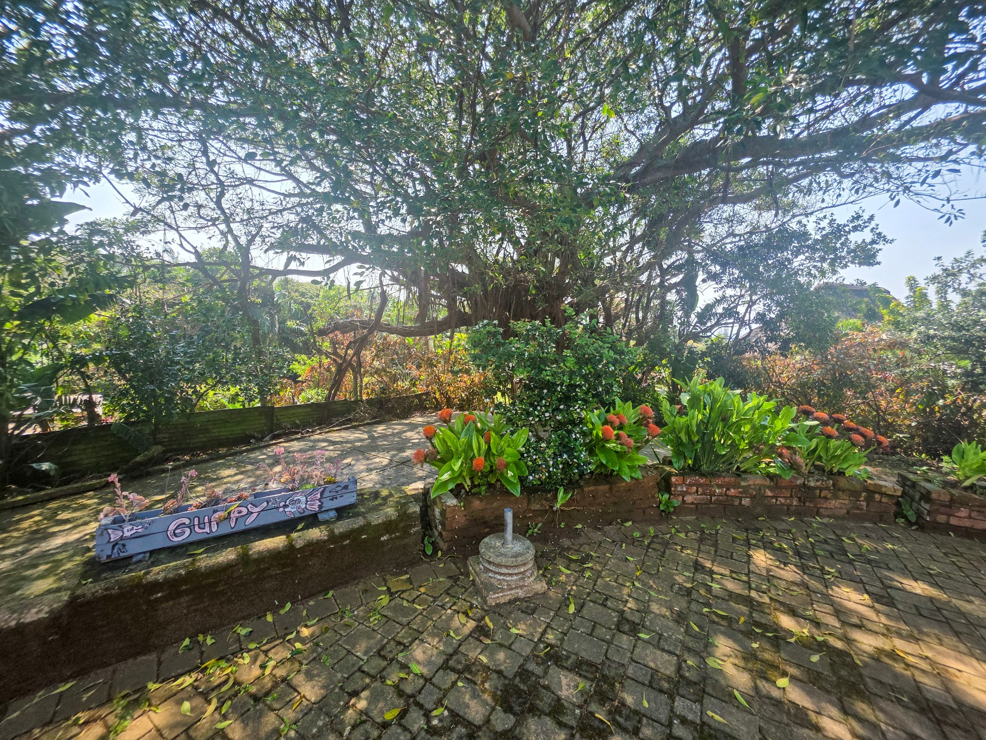 Property Pic
